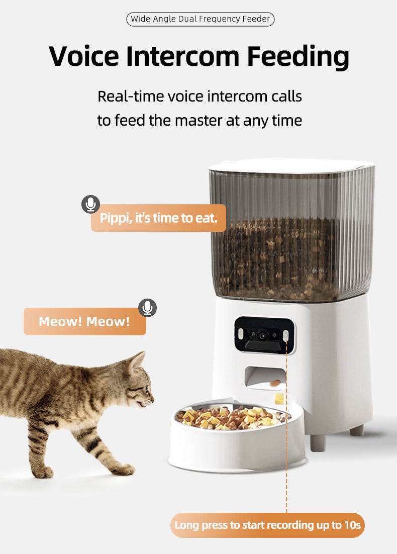 Automatic Cat Food Dispenser