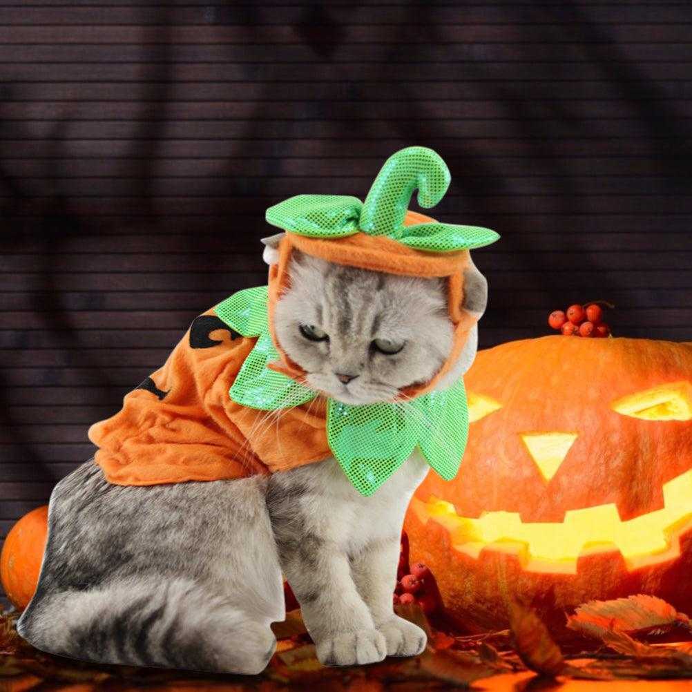 Top 10 Must-Have Pet Products for Happy and Healthy Pets in 2025