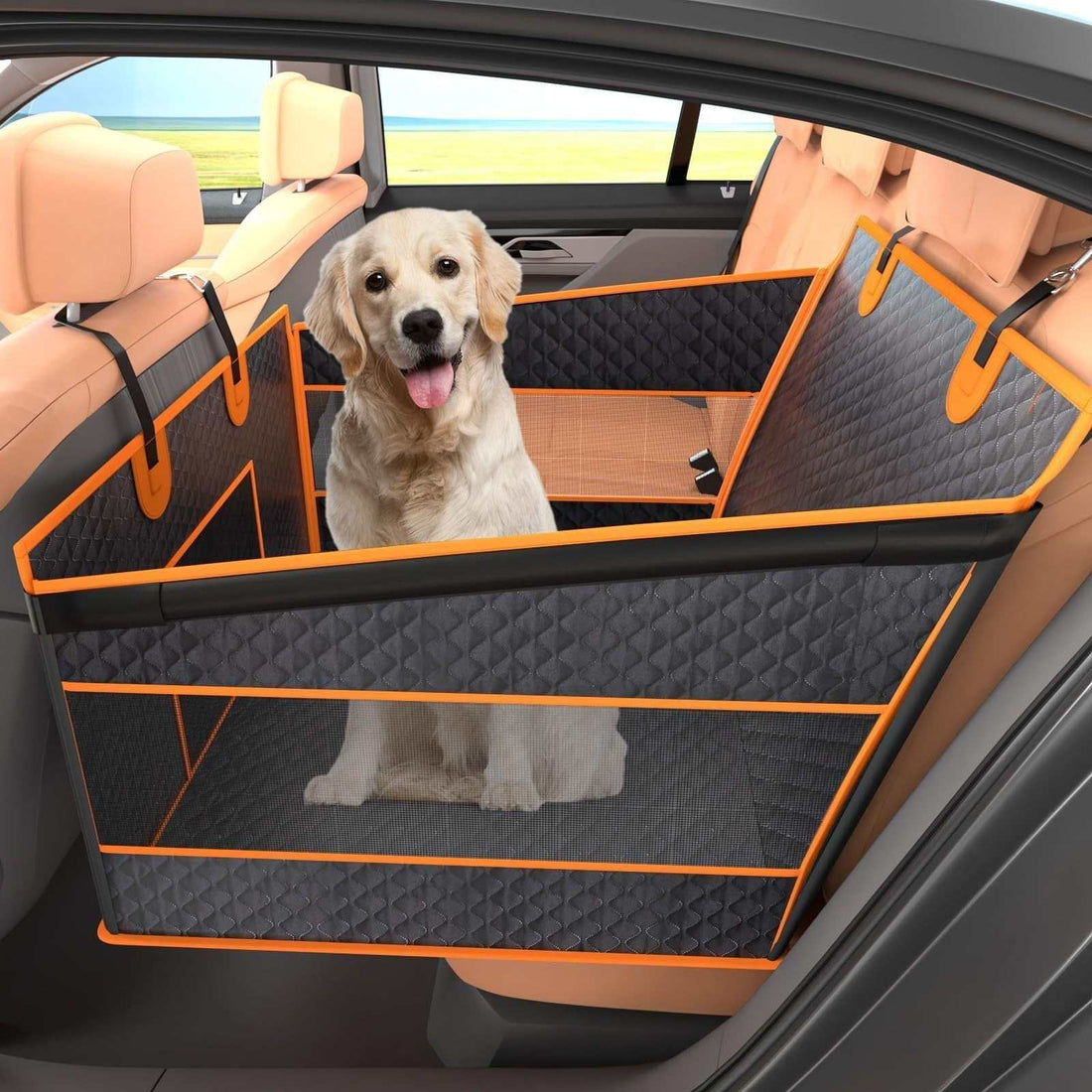 How to choose a pet safety car seat