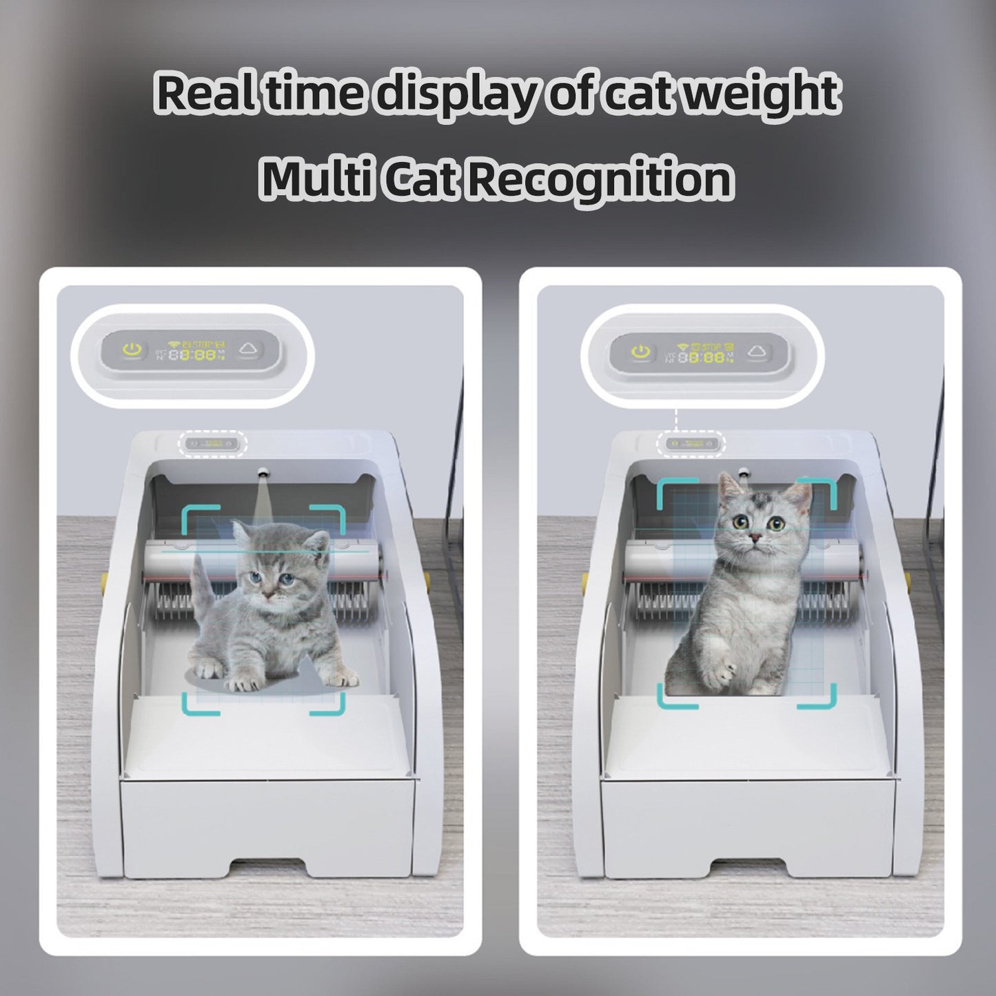 Smart cat litter box