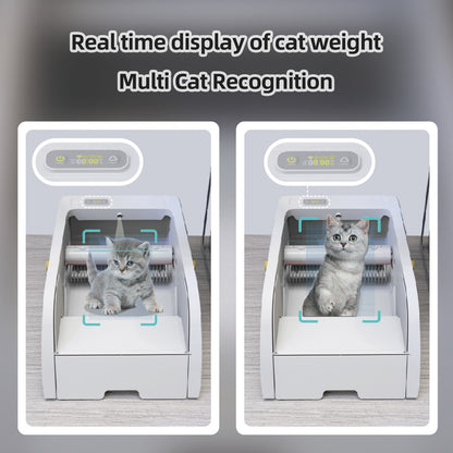 Smart cat litter box