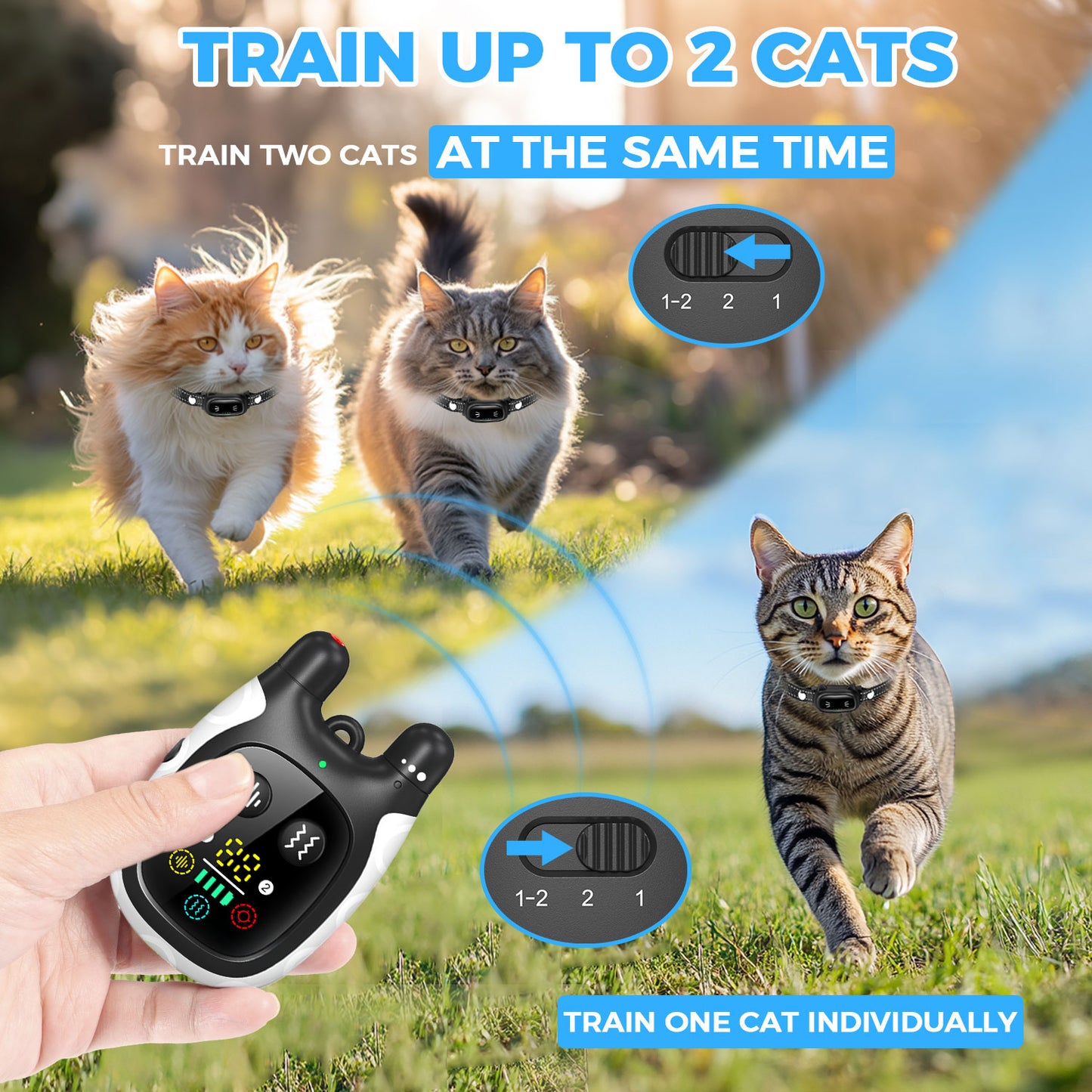 Cat Trainer