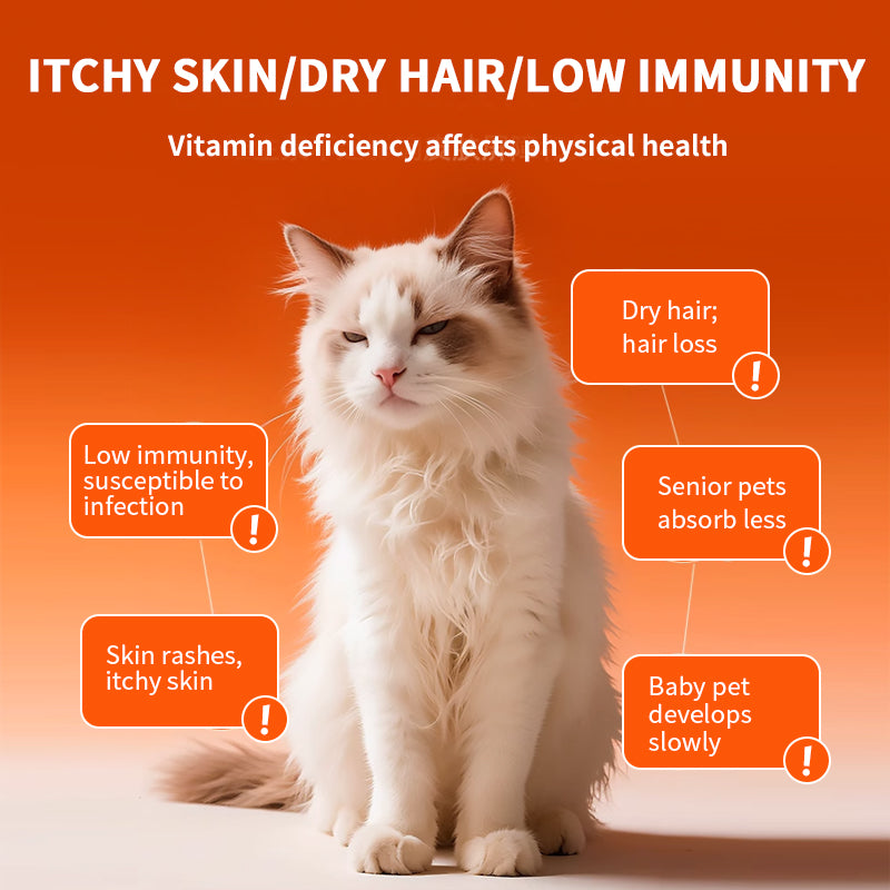 Pet Vitamin Softphospholipids