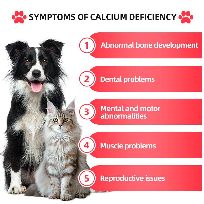 Dog and cat with symptoms of calcium deficiency for dog liver supplement advertisement