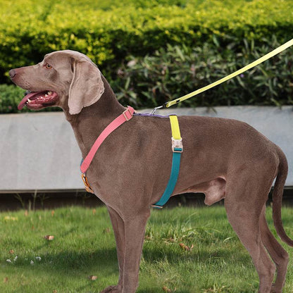 Best Adjustable Neck Dog Seat Harnesses of 2025