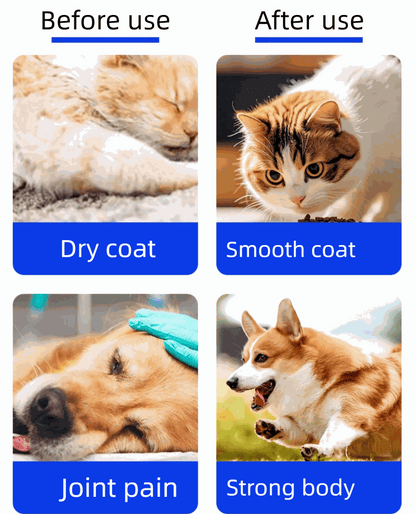 Before and after use comparison of cat and dog showing dry vs smooth coat and joint pain relief with strong body from natural pet fish oil capsules
