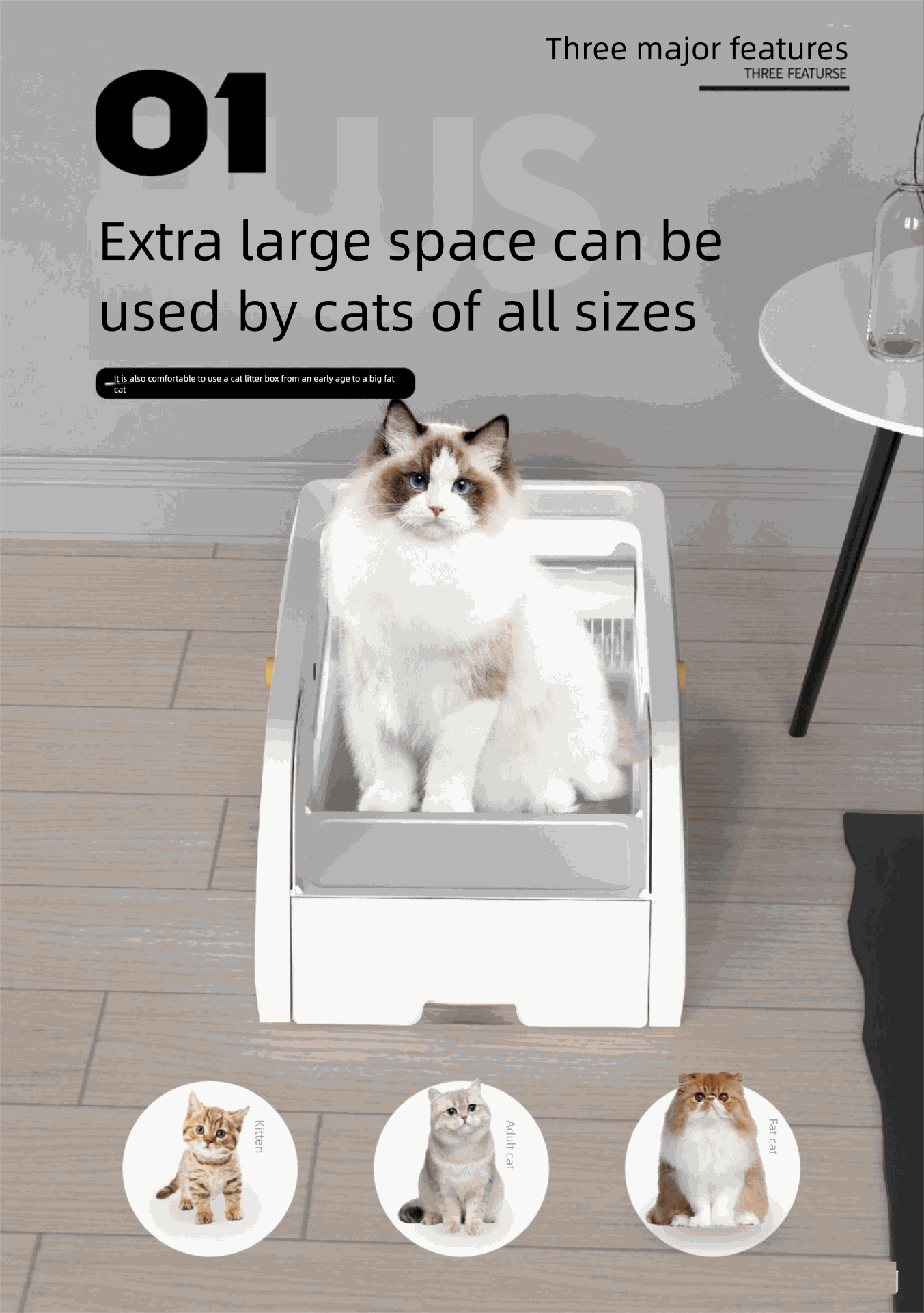 Best Self-Cleaning Cat Litter Box