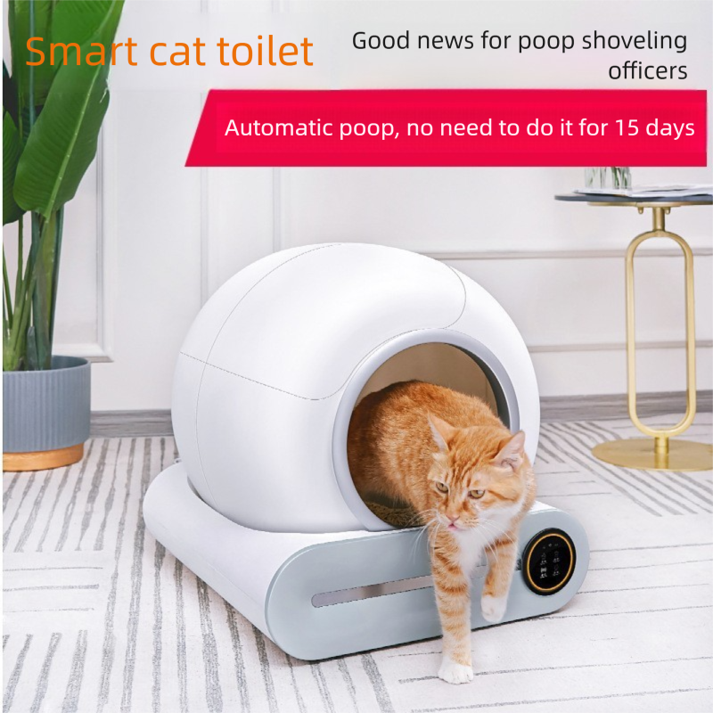 Best Self-Cleaning Cat Litter Tray