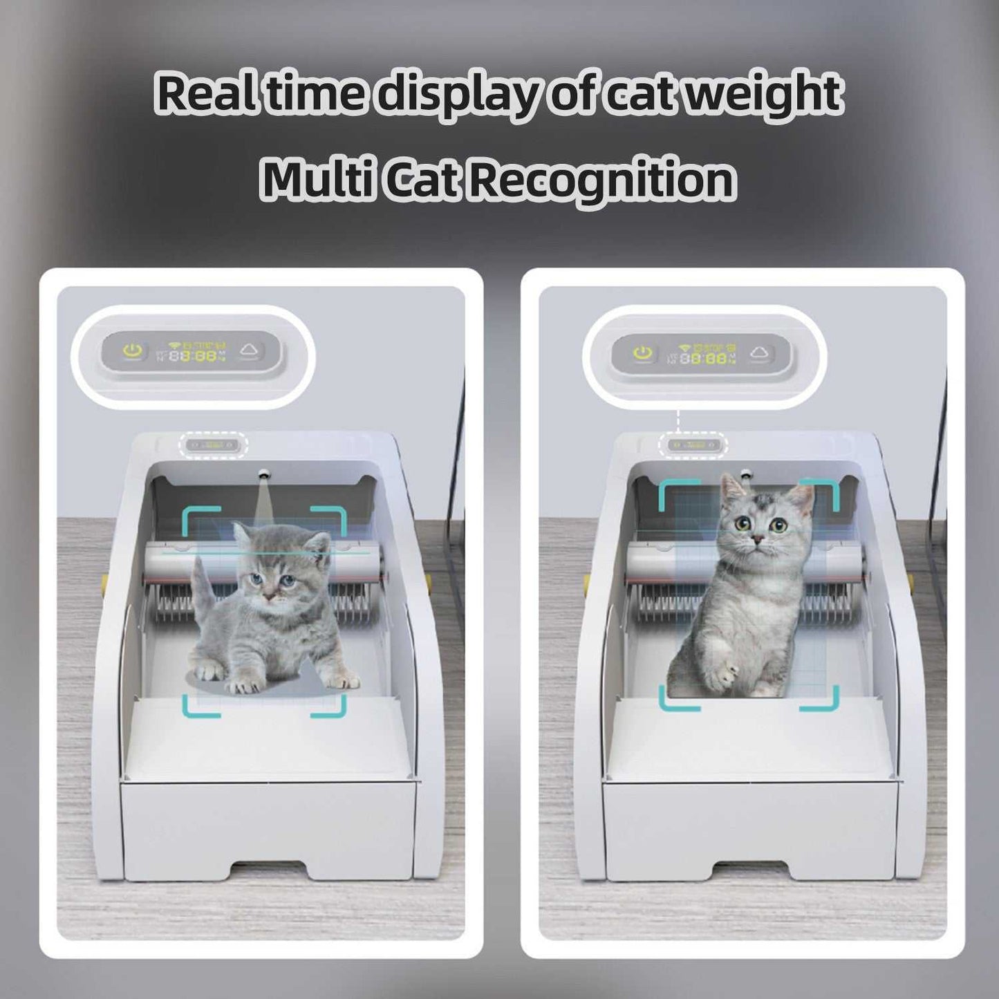 Best Smart Cleaning Cat Litter Box