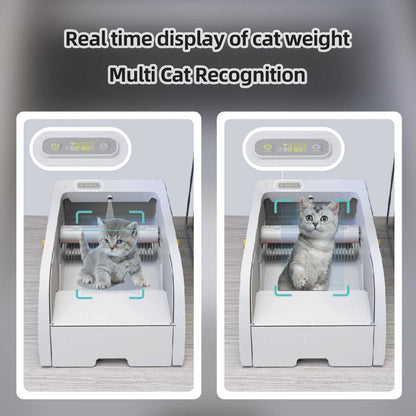 Best Smart Cleaning Cat Litter Box