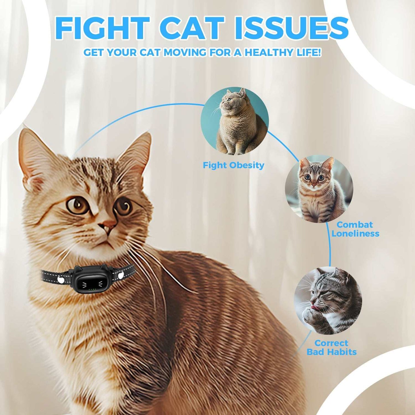 Building the Best Cat Training Toolbox