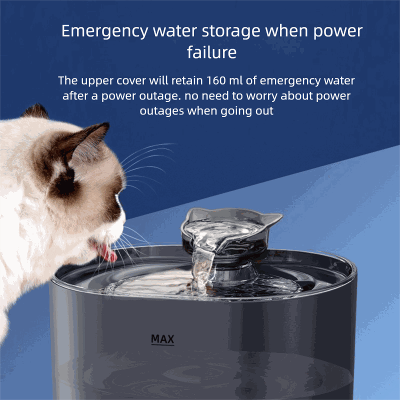 Cat Drinking Fountains and Automatic Drinking Dispensers