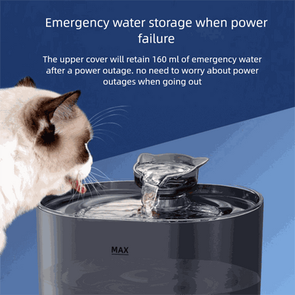 Cat Drinking Fountains and Automatic Drinking Dispensers