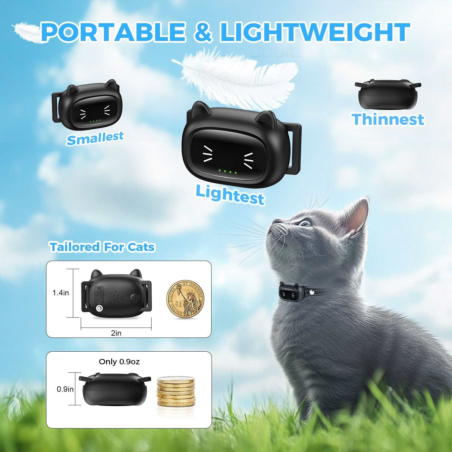 Cat Training Products