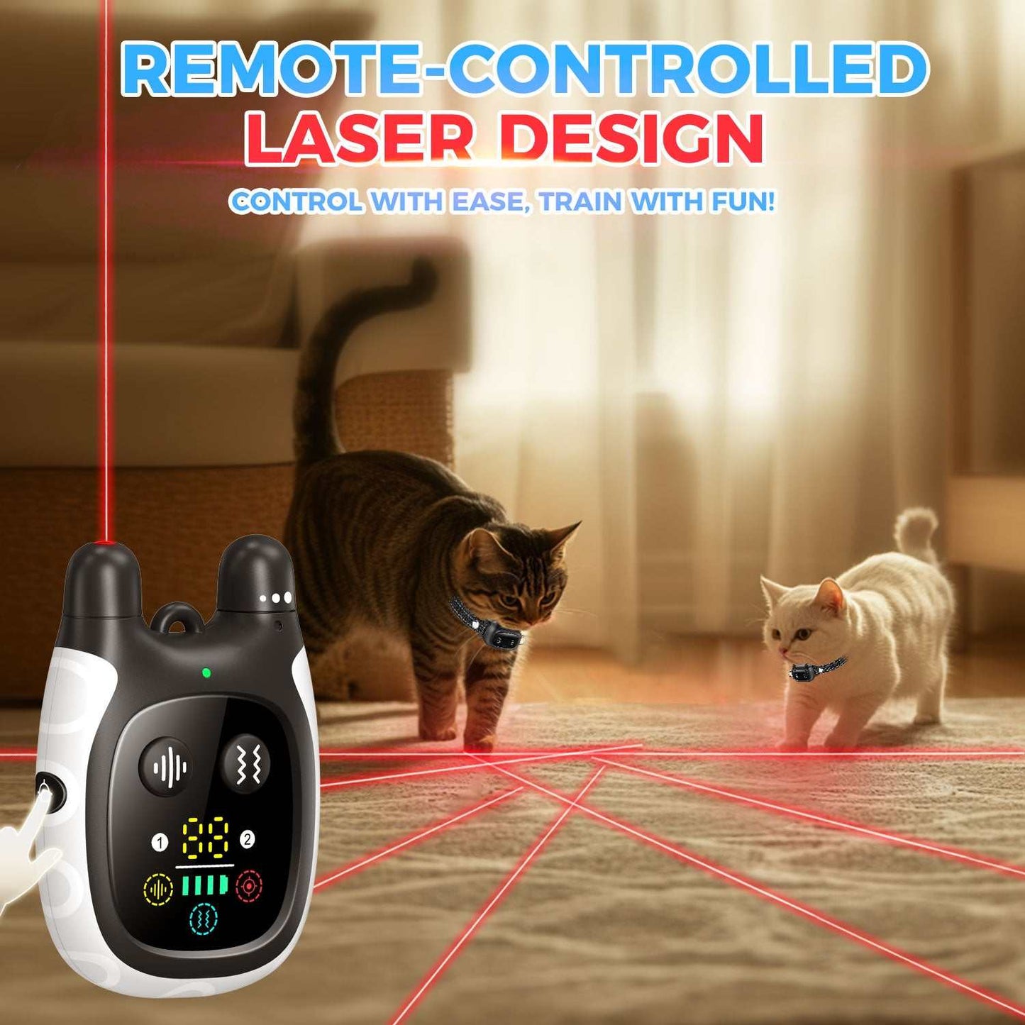 Cat management and training
