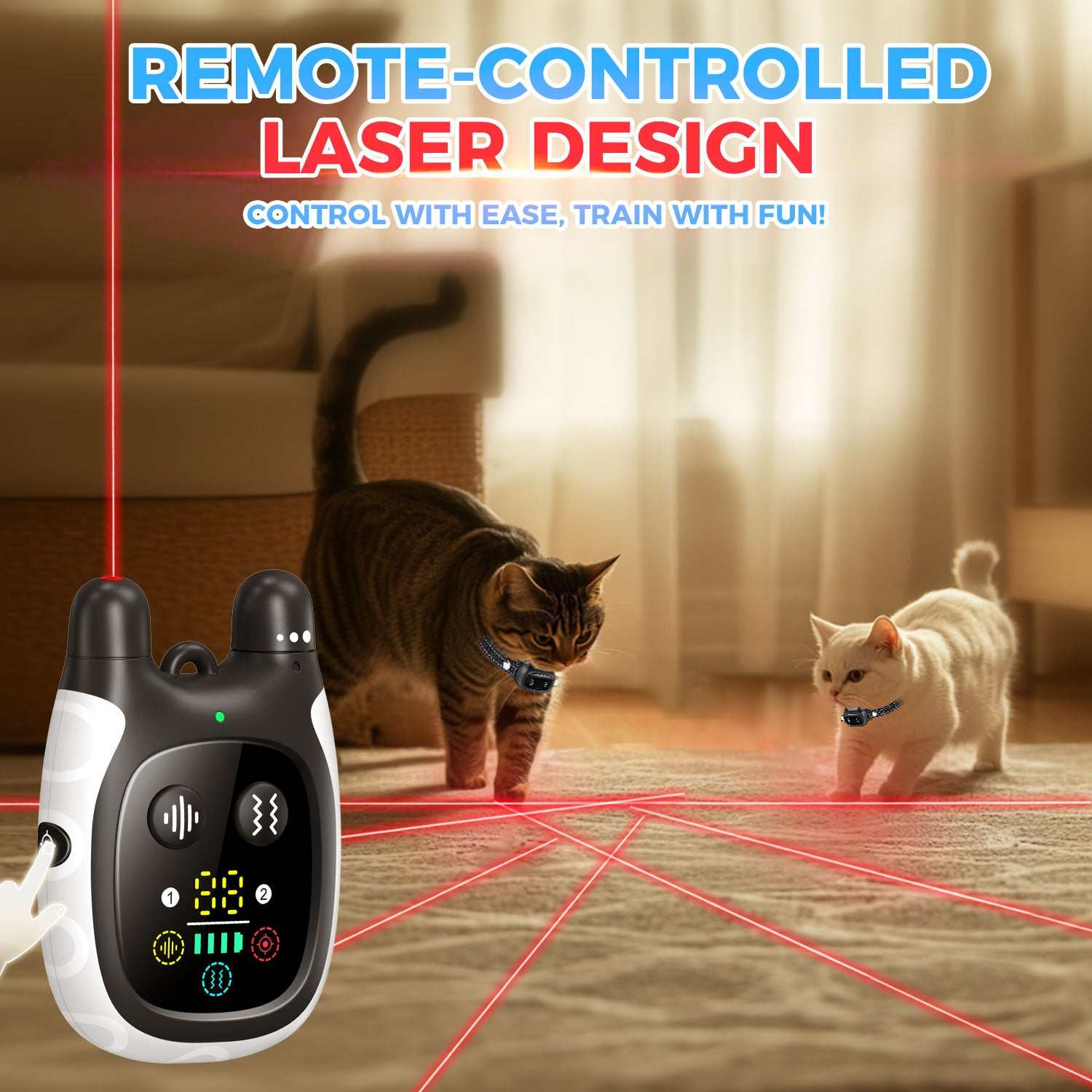 Cat management and training