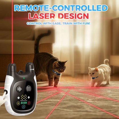 Cat management and training