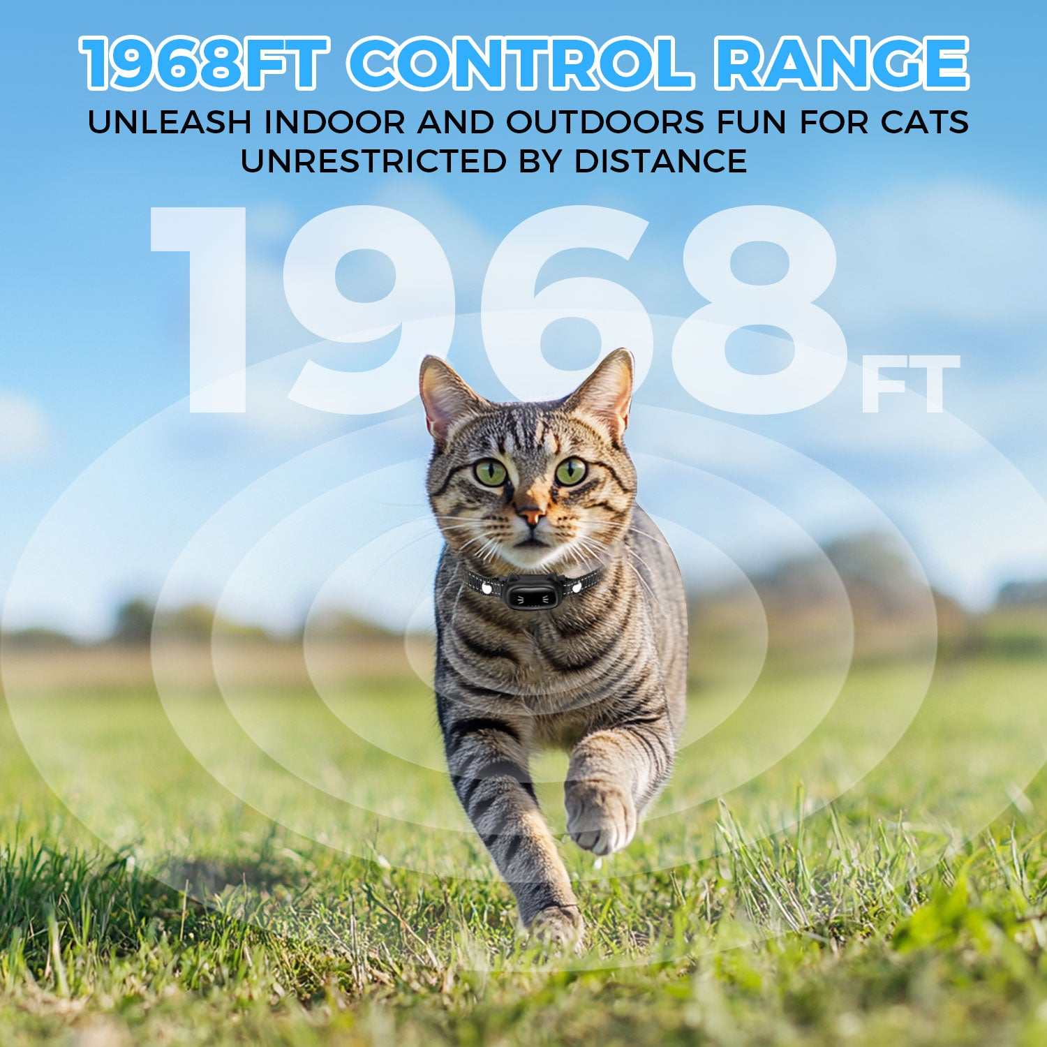 Clicker Training Tool for Cat Enrichment Training