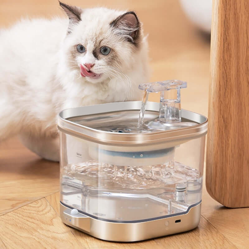 wireless smart pet water dispenser with a cat enjoying fresh water in a stylish design
