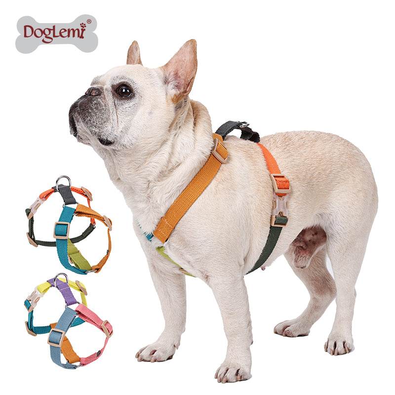 Dog and Puppy Harnesses