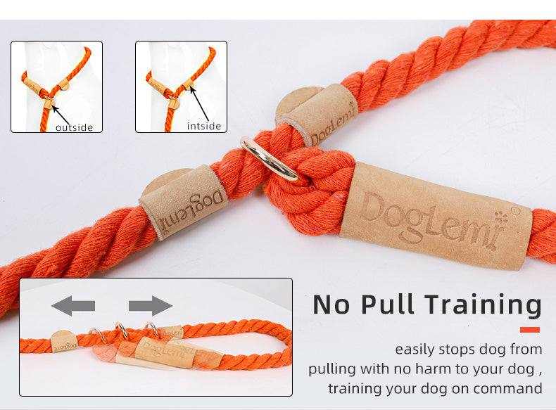 Dog leash