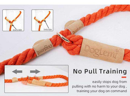 Dog leash