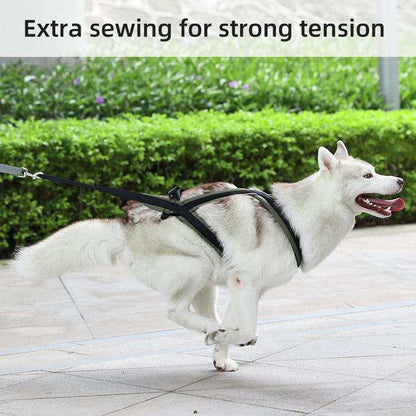 Dog sled leashes