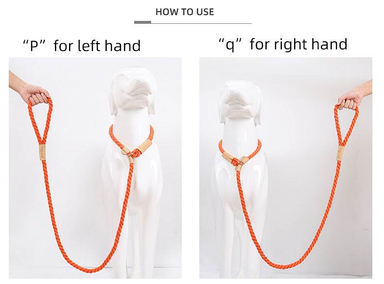 Integrated dog leash