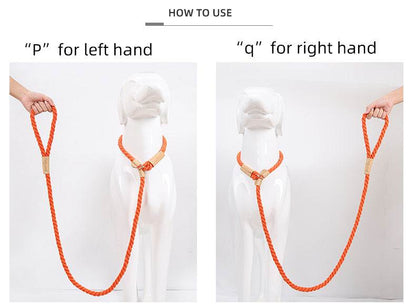 Integrated dog leash