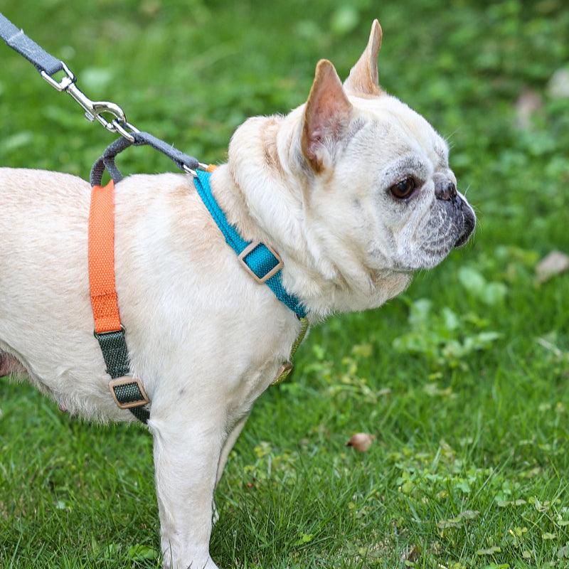 One-piece retractable dog harness