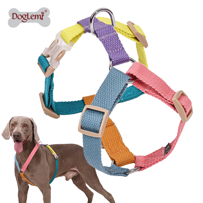 Pet H-shaped multi-color chest harness