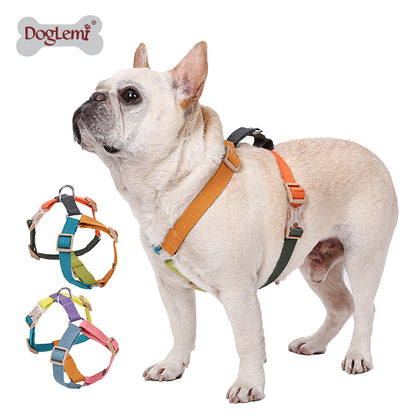 Pet H-shaped multi-color chest harness