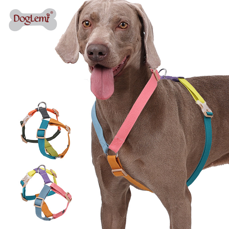 Pet H-shaped multi-color chest harness
