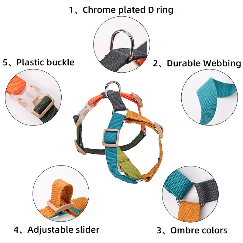 Pet H-shaped multi-color chest harness