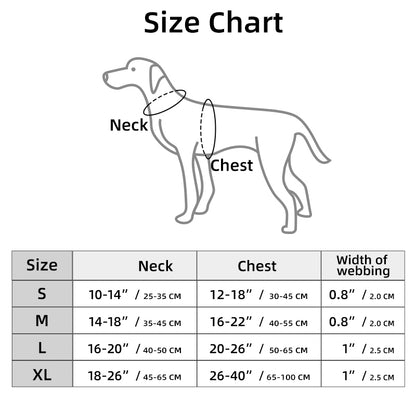 Pet H-shaped multi-color chest harness