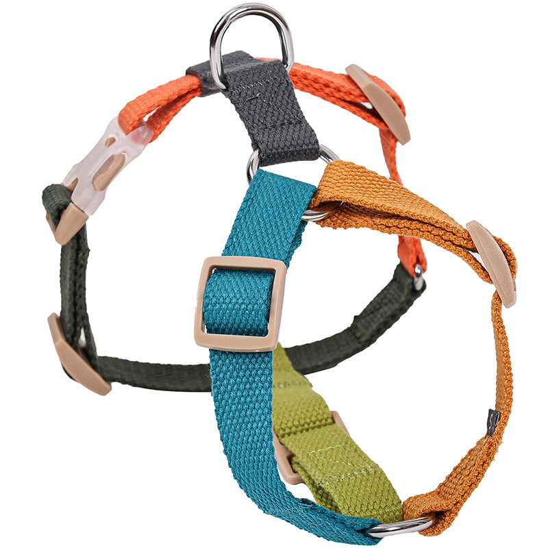 Pet H-shaped multi-color chest harness