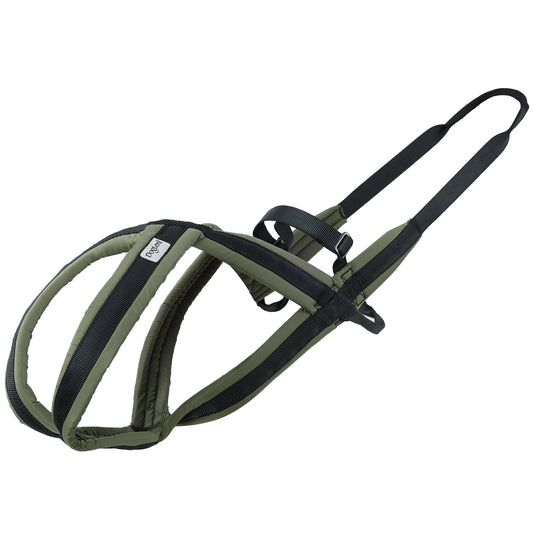 Dog traction harness