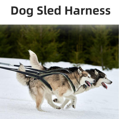 Dog traction harness