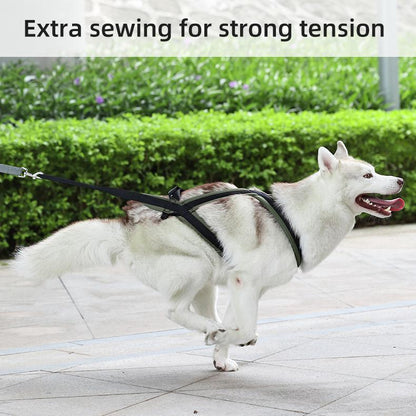 Dog traction harness