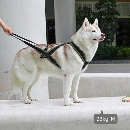Dog traction harness