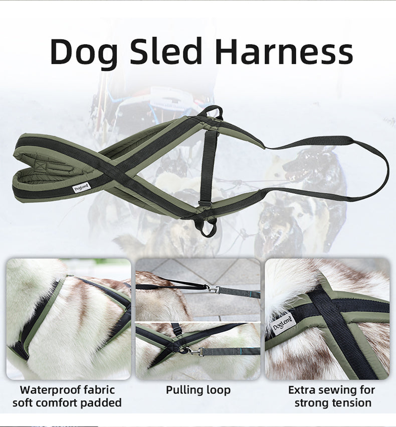 Dog traction harness