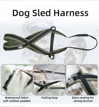 Dog traction harness
