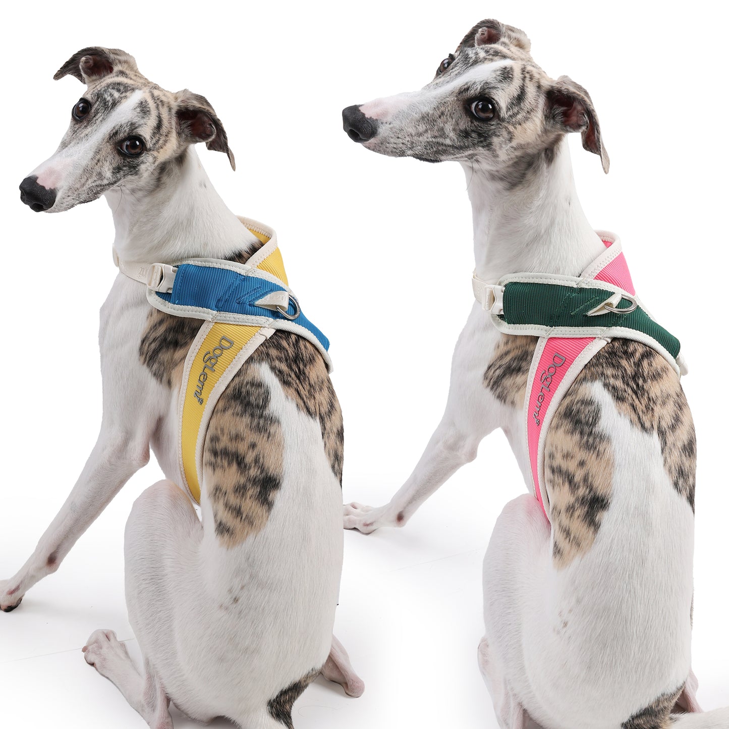 X-Shaped Dog Harness