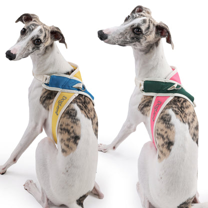 X-Shaped Dog Harness