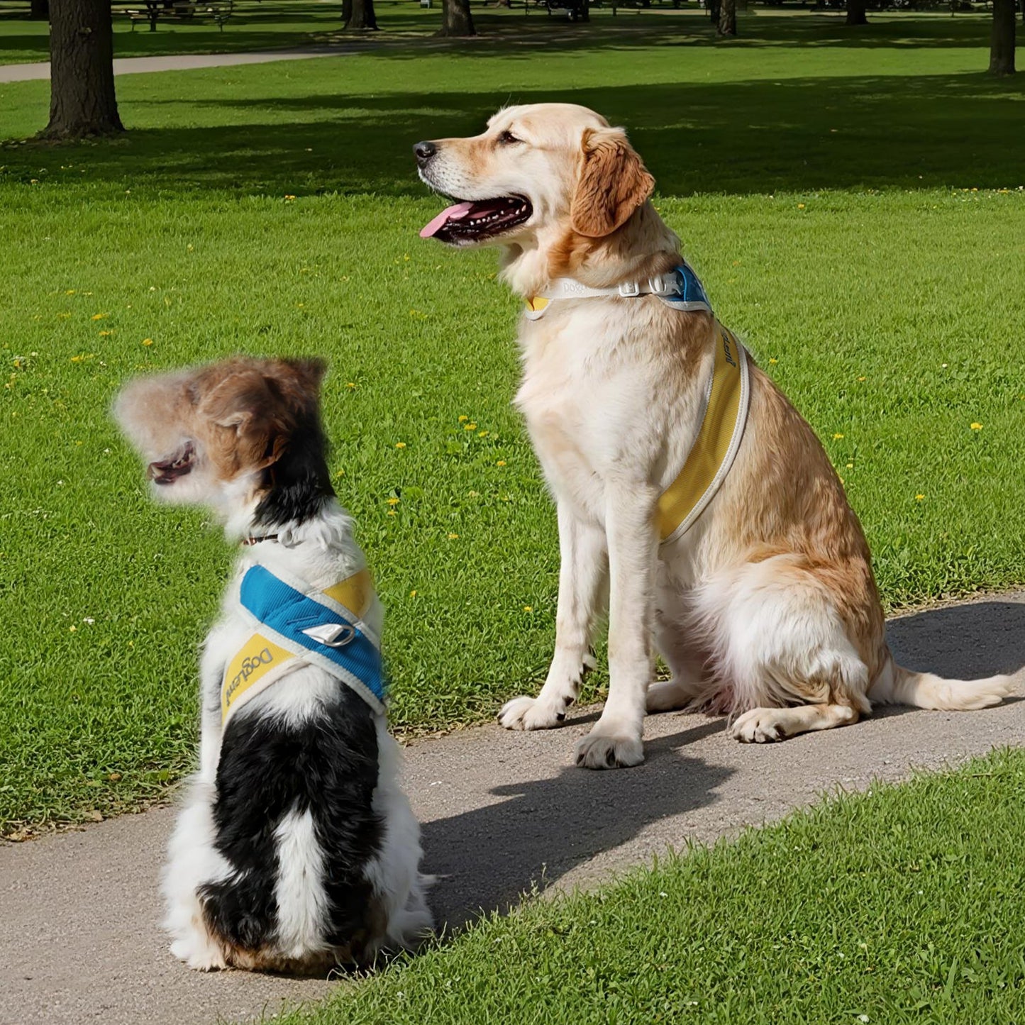X-Shaped Dog Harness
