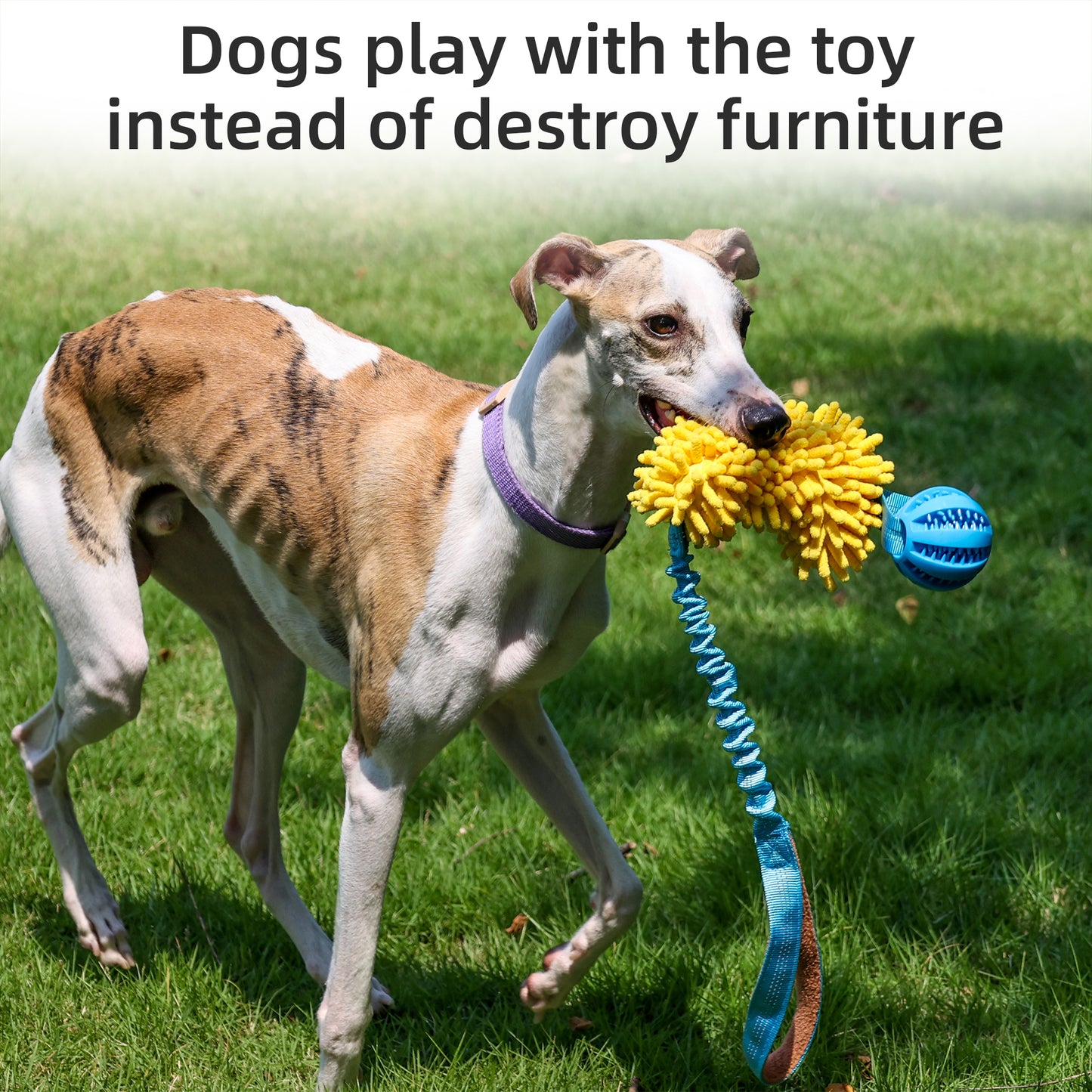 Dog interactive tug-of-war toy