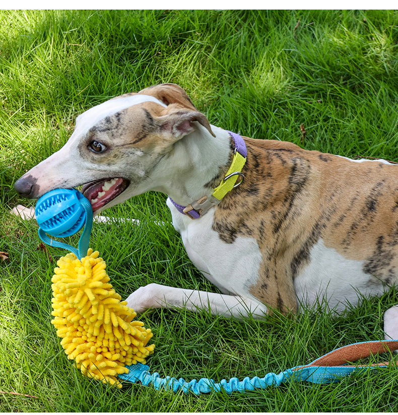 Dog interactive tug-of-war toy