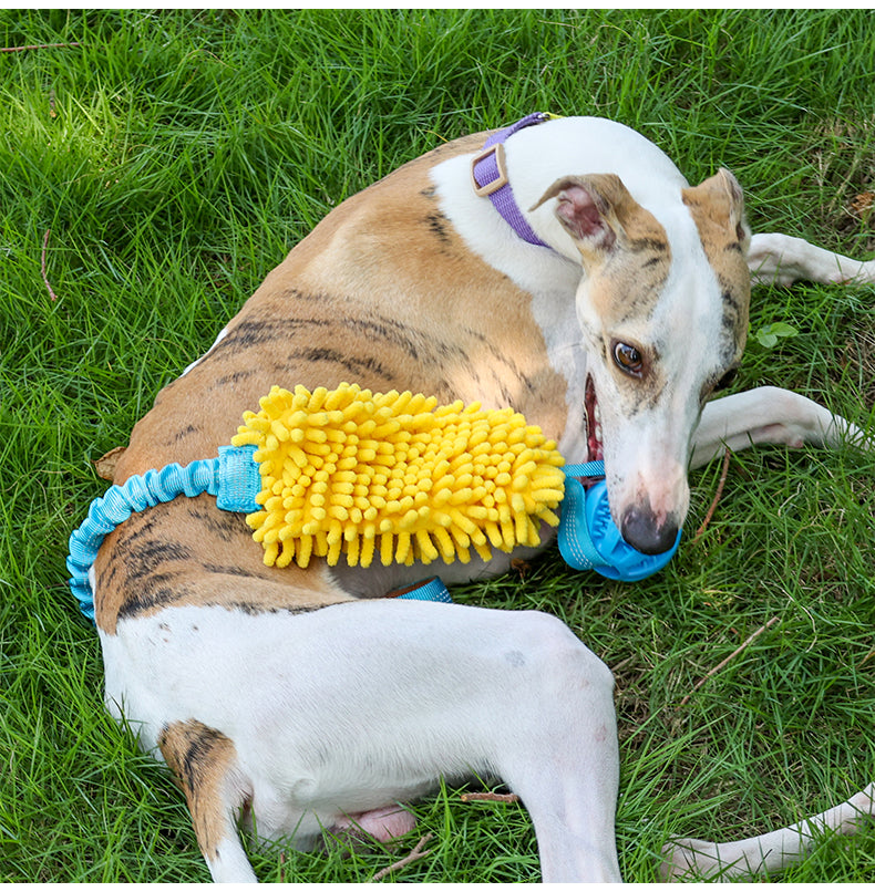 Dog interactive tug-of-war toy