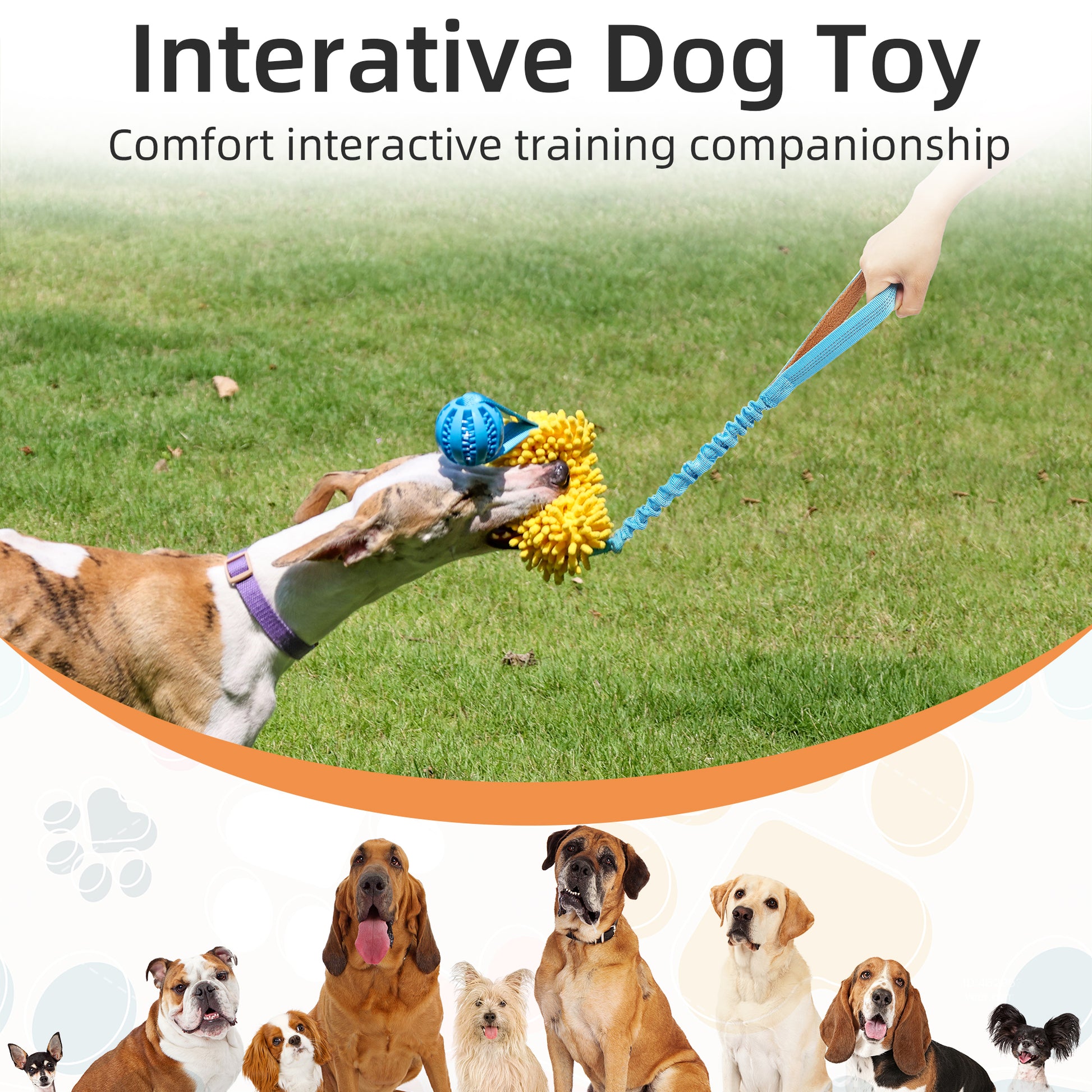 Perfect Tug of War Toy | Tug of War Toy