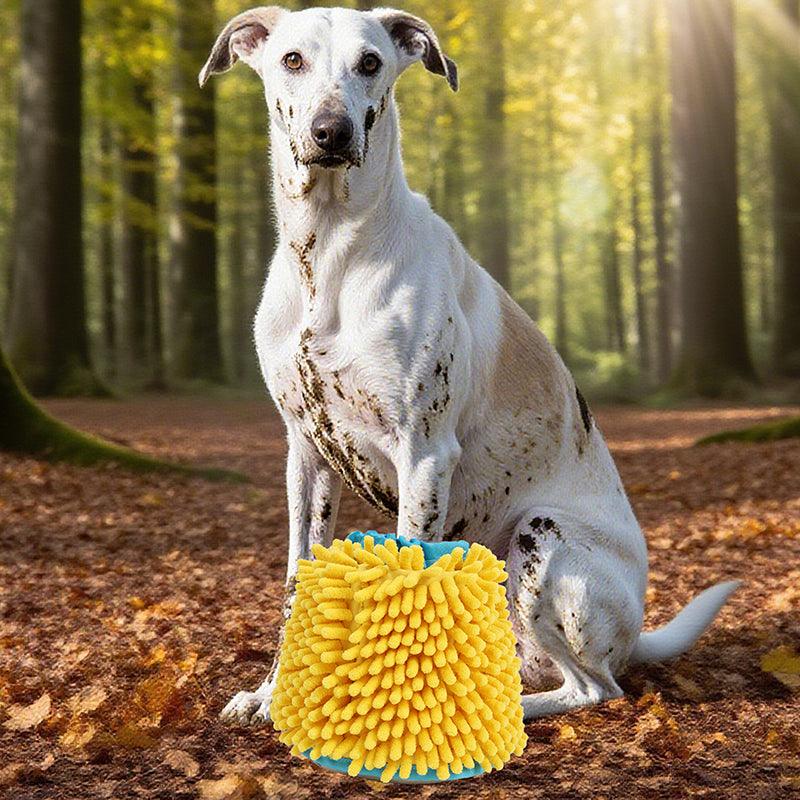Dog sitting in forest next to yellow and blue dog paw cleaner cup for washing muddy paws
